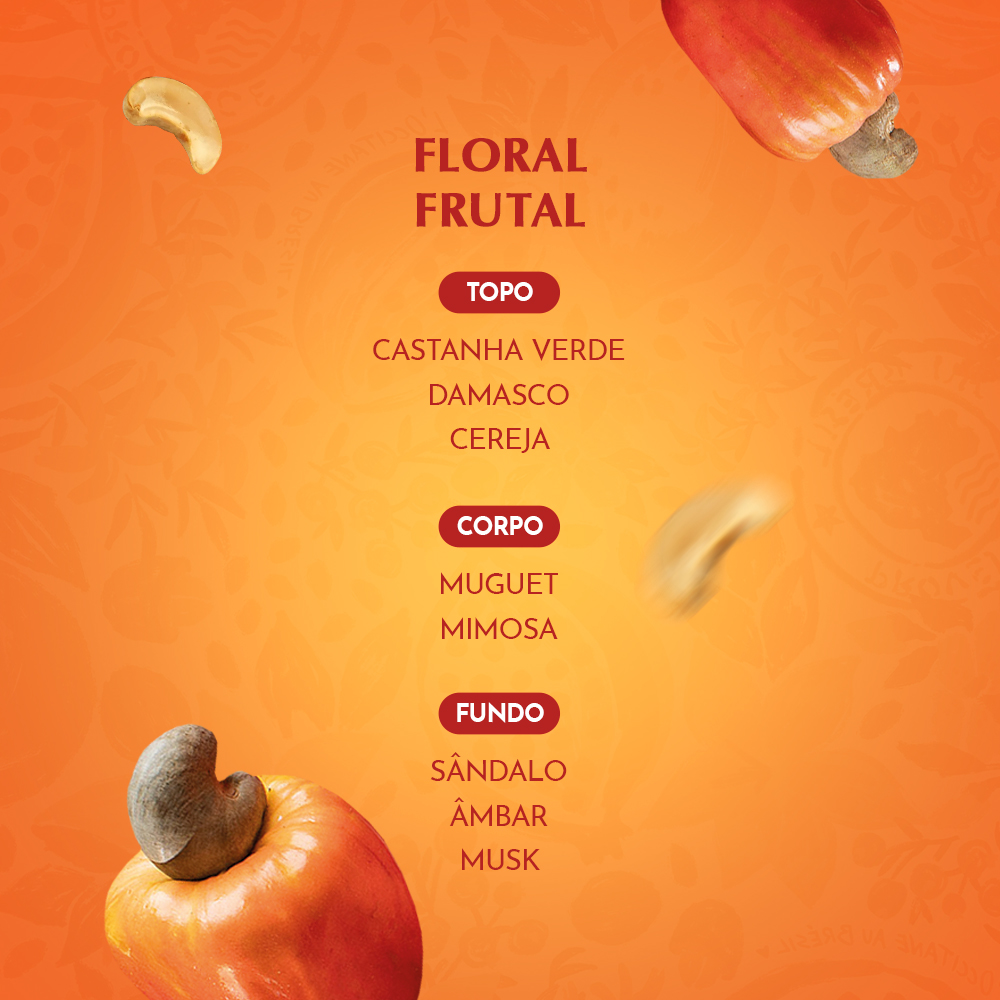 Kit Caju Sensorialidade Envolvente, ,  large image number 2